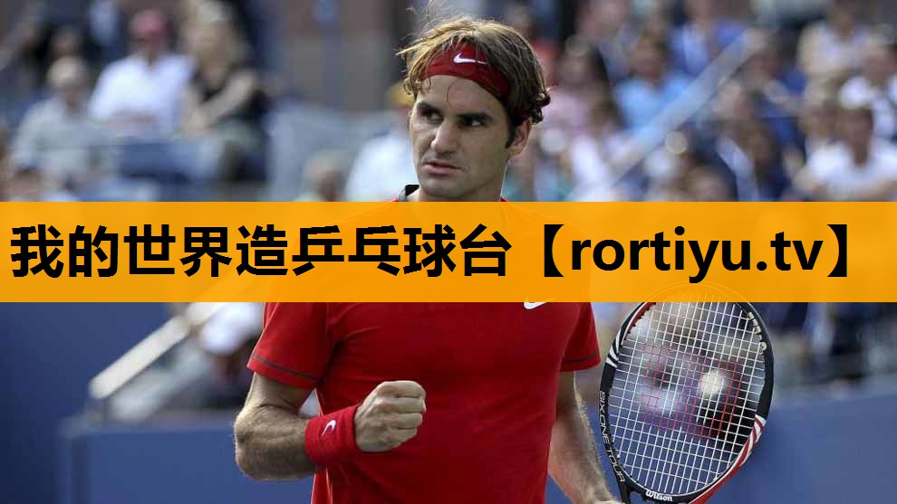我的世界造乒乓球台 我的世界造乒乓球台